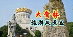鸡巴插骚货网站下载中国浙江-绍兴大香林旅游风景区